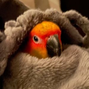 Welcome to My Closet! I take offers for everything